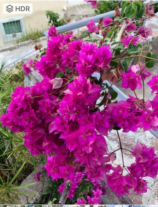 Poros Town Veranda Blue - Poros מראה חיצוני תמונה