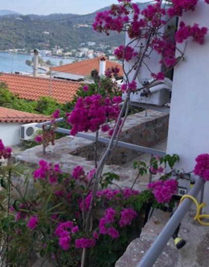 Poros Town Veranda Blue - Poros מראה חיצוני תמונה